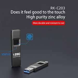 RK-C203 Rectangular Fingerprint USB Flash Drive